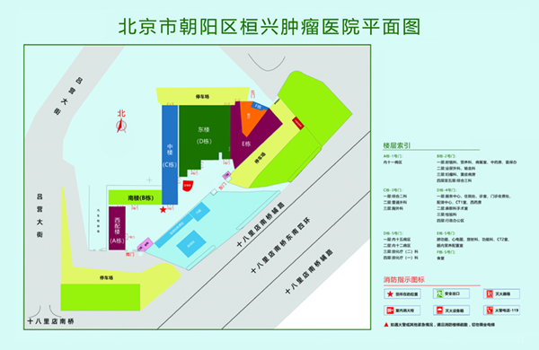 玩大鸡巴操逼视频北京市朝阳区桓兴肿瘤医院平面图